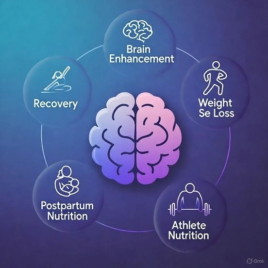 Chương trình Dinh Dưỡng An Giấc