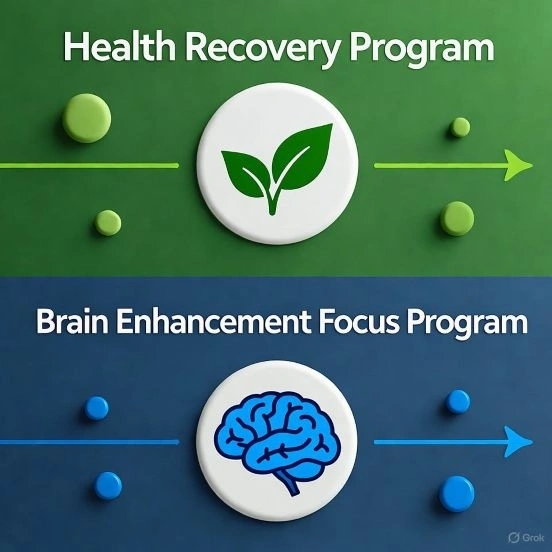 Chương Trình Tăng Cường Trí Não và Tập Trung
